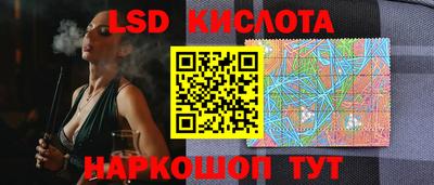 прущие грибы Абакан
