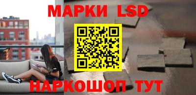 прущие грибы Абакан