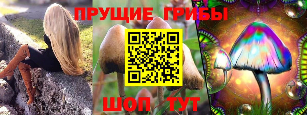 Псилоцибиновые грибы прущие грибы Анапа