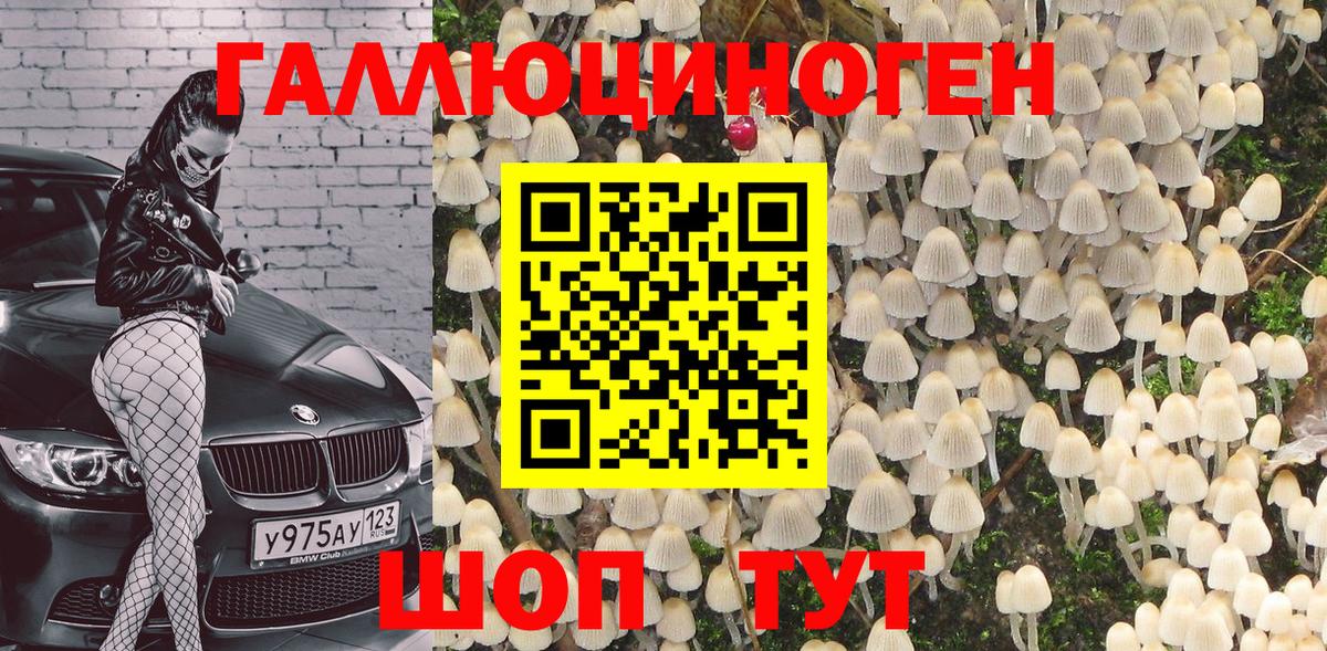 Анапа  Галлюциногенные грибы Psilocybe  Вход с VPN  Псилоцибиновые грибы мицелий 